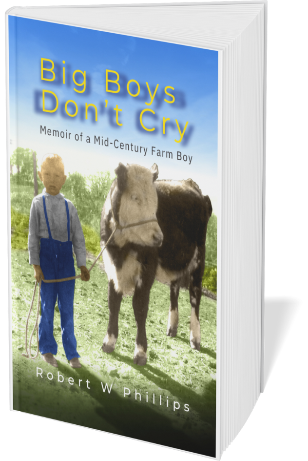 BBDC Cover (2) Big Boys Don't Cry